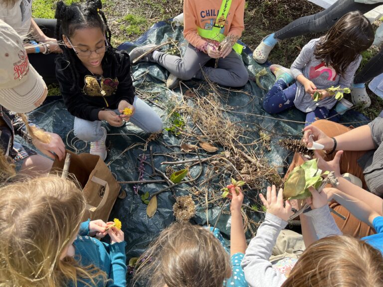 تعليم الفضاء المفتوح