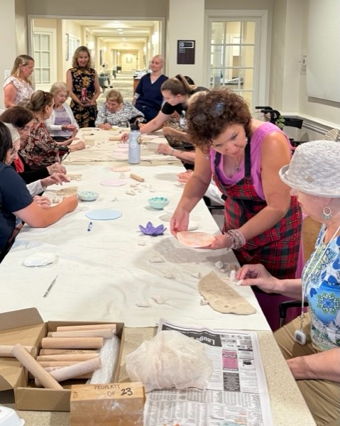 منحت Virginia Commission for the Arts منحة وقدرها $77,500 لدعم الشيخوخة الإبداعية والمستقبل الإبداعي